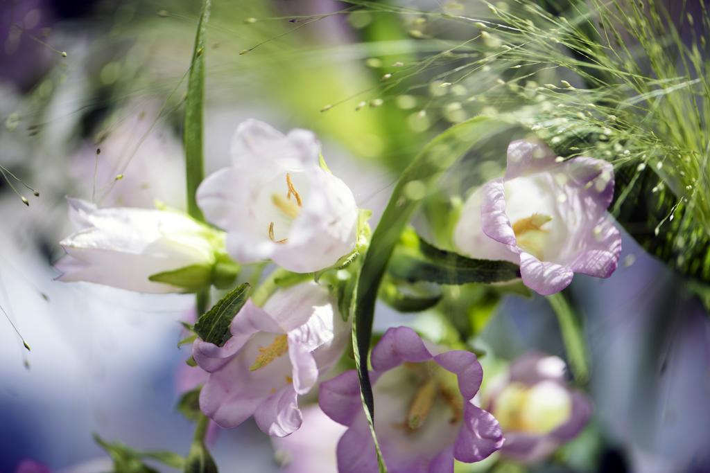 The Herring'S Residence - Stylish Private Cottage With Breakfast In Historic Center - Adults-Only 브뤼헤 외부 사진